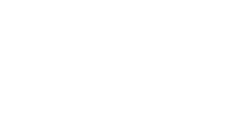 Scrubbies Detailing